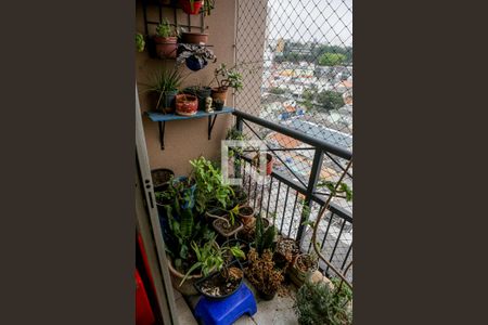 Varanda  de apartamento para alugar com 3 quartos, 58m² em Jardim Stella, Santo André