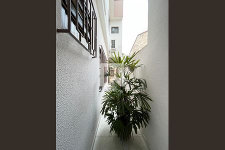 Casa à venda com 244m², 3 quartos e 3 vagas Casa à venda com 244m², 3 quartos e 3 vagasÁrea externa