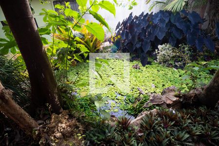 Casa à venda com 150m², 3 quartos e 4 vagas Casa à venda com 150m², 3 quartos e 4 vagasLago