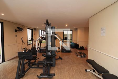 Apartamento à venda com 71m², 2 quartos e 3 vagas Apartamento à venda com 71m², 2 quartos e 3 vagasÁrea comum - Academia