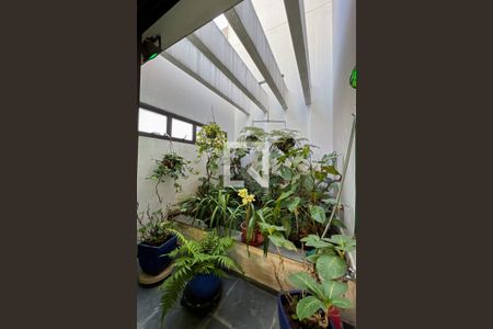 Apartamento à venda com 450m², 4 quartos e 6 vagasJardim Interno