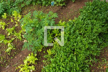 Casa à venda com 250m², 2 quartos e 4 vagas Casa à venda com 250m², 2 quartos e 4 vagasÁrea Externa