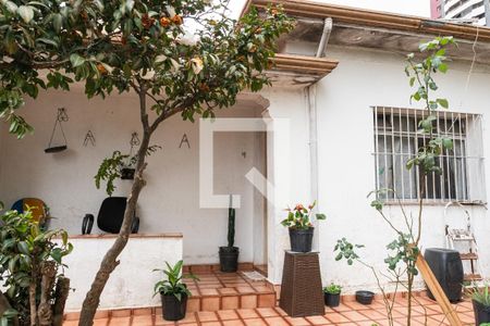 Casa à venda com 250m², 2 quartos e 4 vagas Casa à venda com 250m², 2 quartos e 4 vagasÁrea Externa