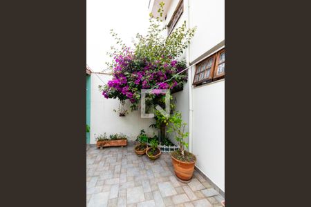 Casa à venda com 289m², 4 quartos e 3 vagas Casa à venda com 289m², 4 quartos e 3 vagasQuintal