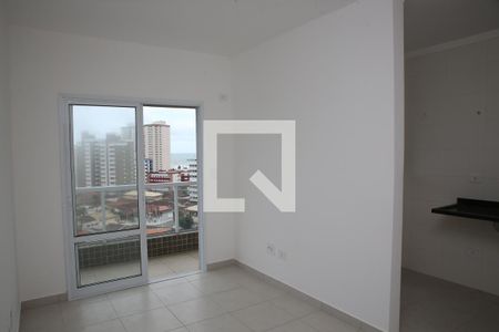 Sala de apartamento para alugar com 2 quartos, 55m² em Mirim, Praia Grande