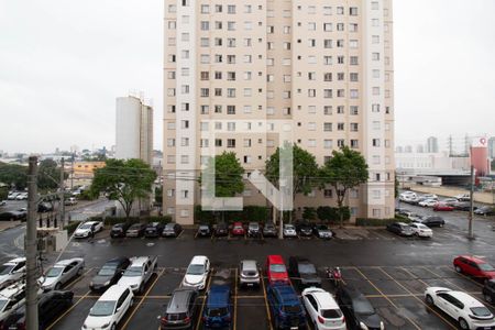 Vista do Quarto de apartamento para alugar com 2 quartos, 44m² em Ponte Grande, Guarulhos