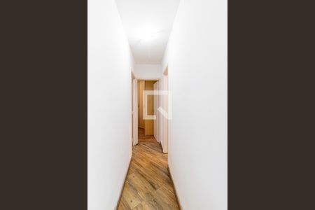 Corredor dos Quartos de apartamento para alugar com 2 quartos, 44m² em Cambuci, São Paulo