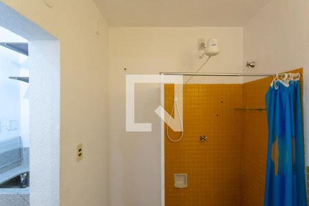 Banheiro de apartamento para alugar com 1 quarto, 59m² em Funcionários, Belo Horizonte