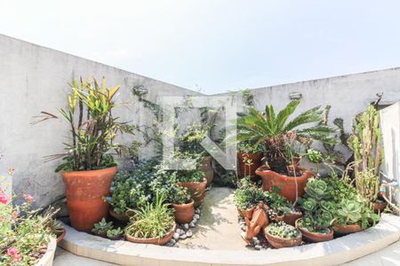 Apartamento à venda com 226m², 3 quartos e 2 vagas Apartamento à venda com 226m², 3 quartos e 2 vagasTerraço