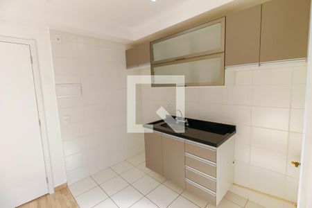 Apartamento para alugar com 47m², 2 quartos e 1 vagaCozinha - Armários