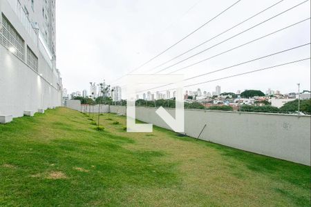 Apartamento à venda com 36m², 2 quartos e sem vaga Apartamento à venda com 36m², 2 quartos e sem vagaEspaço Pet