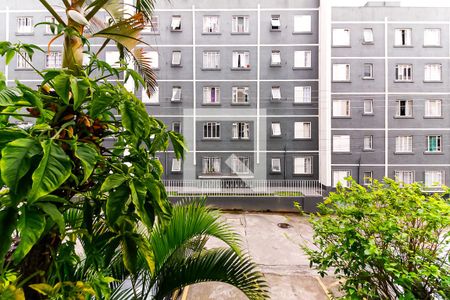 Vista da Sala de apartamento para alugar com 2 quartos, 49m² em Parque Panamericano, São Paulo