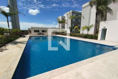 Apartamento para alugar com 50m², 2 quartos e 1 vaga Apartamento para alugar com 50m², 2 quartos e 1 vagaPiscina