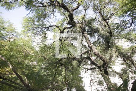 Apartamento à venda com 94m², 3 quartos e 1 vagaQuarto 2 Vista