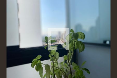 Apartamento à venda com 70m², 2 quartos e 2 vagas Apartamento à venda com 70m², 2 quartos e 2 vagasÁrea de Serviço - detalhe