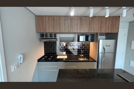 Cozinha - Armários de apartamento para alugar com 2 quartos, 70m² em Pinheiros, São Paulo