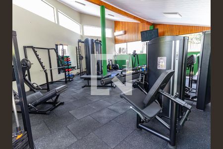 Apartamento à venda com 260m², 4 quartos e 4 vagas Apartamento à venda com 260m², 4 quartos e 4 vagasÁrea comum - Academia