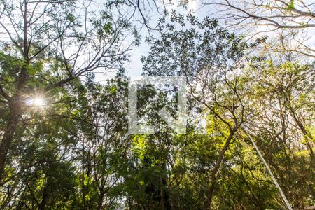 Apartamento à venda com 76m², 1 quarto e 2 vagas Apartamento à venda com 76m², 1 quarto e 2 vagasParque