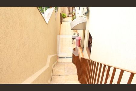 Casa para alugar com 500m², 6 quartos e 6 vagasÁrea externa - Corredor Lateral