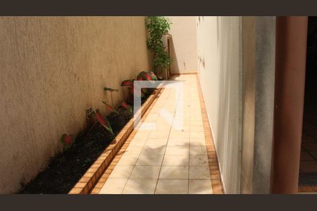 Casa para alugar com 500m², 6 quartos e 6 vagasÁrea externa - Corredor Lateral