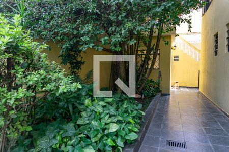 Casa à venda com 280m², 3 quartos e 4 vagas Casa à venda com 280m², 3 quartos e 4 vagasQuintal