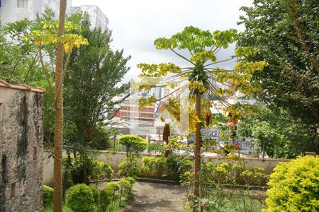 Casa para alugar com 370m², 3 quartos e 6 vagas`Area verde