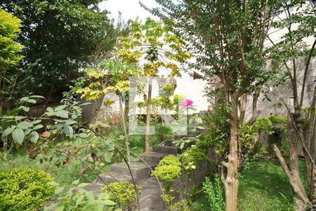 Casa para alugar com 370m², 3 quartos e 6 vagasÁrea verde