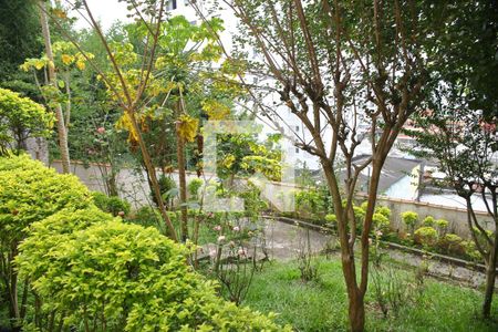 Casa para alugar com 370m², 3 quartos e 6 vagasÁrea verde