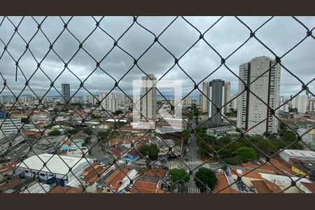 Vista Varanda da Sala  de apartamento para alugar com 3 quartos, 118m² em Vila Bertioga, São Paulo