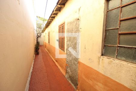 Casa à venda com 325m², 3 quartos e 1 vagaQuintal 3