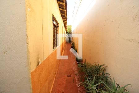 Casa à venda com 325m², 3 quartos e 1 vagaQuintal 2