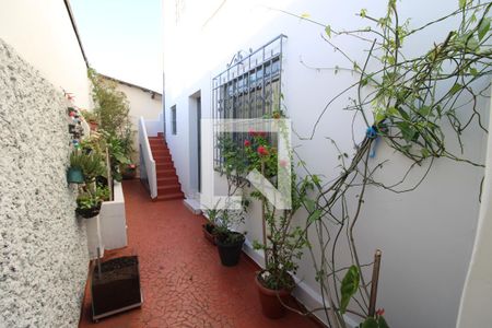 Casa à venda com 325m², 3 quartos e 1 vagaQuintal 3