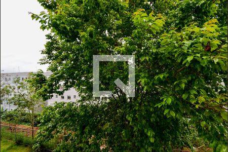 Vista da Quarto 1 de apartamento para alugar com 2 quartos, 48m² em Vila Nova Bonsucesso, Guarulhos