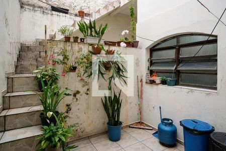 Casa à venda com 380m², 5 quartos e 2 vagasQuintal