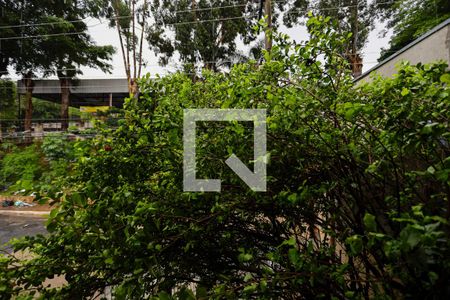 Vista da suíte de casa para alugar com 2 quartos, 60m² em Vila Nova Cachoeirinha, São Paulo