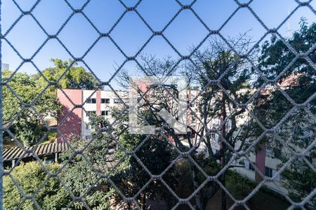 Vista da Varanda da Sala de apartamento para alugar com 2 quartos, 47m² em São João Clímaco, São Paulo