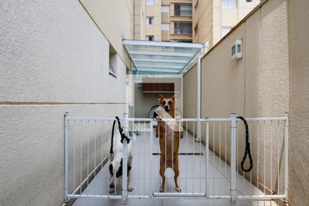 Apartamento à venda com 116m², 2 quartos e 2 vagas Apartamento à venda com 116m², 2 quartos e 2 vagasQuintal