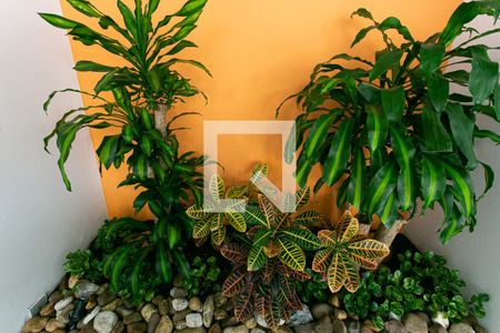 Casa à venda com 330m², 4 quartos e 5 vagasJardim