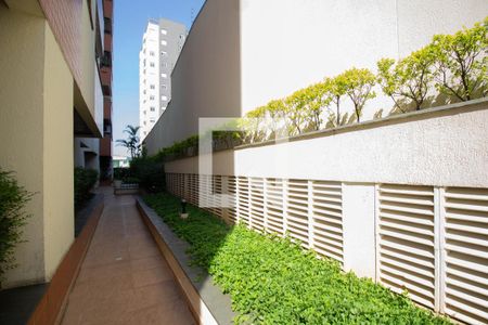 Apartamento à venda com 98m², 3 quartos e 2 vagasÁrea comum