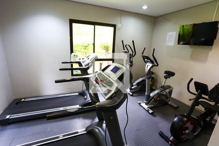 Apartamento à venda com 230m², 3 quartos e 4 vagas Apartamento à venda com 230m², 3 quartos e 4 vagasÁrea comum - Academia