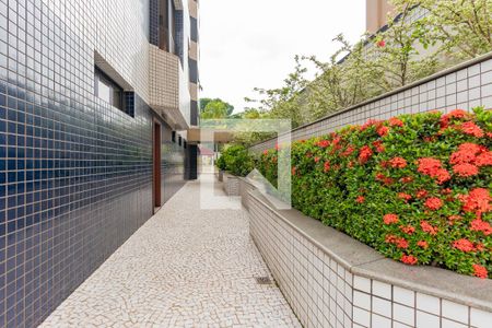 Apartamento para alugar com 260m², 4 quartos e 4 vagas Apartamento para alugar com 260m², 4 quartos e 4 vagasÁrea comum