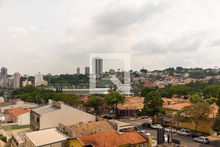 Apartamento para alugar com 260m², 4 quartos e 4 vagas Apartamento para alugar com 260m², 4 quartos e 4 vagasVista do Quarto 1