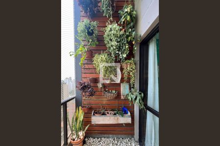 Sacada de apartamento para alugar com 2 quartos, 75m² em Moema, São Paulo