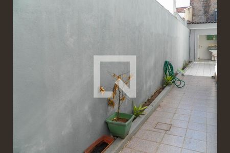 Casa à venda com 240m², 3 quartos e 2 vagas Casa à venda com 240m², 3 quartos e 2 vagasÁrea Externa