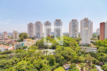 Varanda (vista) de apartamento para alugar com 2 quartos, 75m² em Jardim Londrina, São Paulo