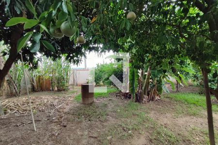 Casa à venda com 326m², 3 quartos e 2 vagasJardim - Quintal