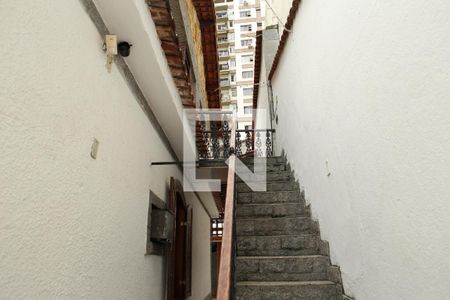 Casa à venda com 500m², 3 quartos e 3 vagasQuintal