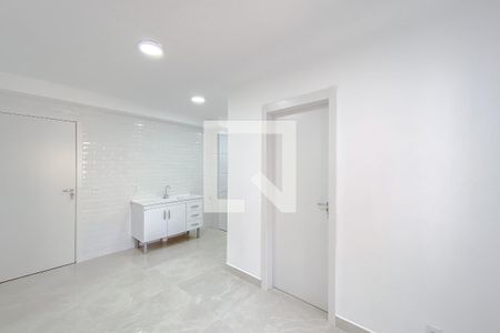Sala de apartamento para alugar com 2 quartos, 37m² em Canindé, São Paulo
