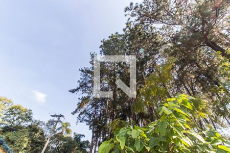 Casa para alugar com 350m², 5 quartos e 2 vagasÁrea comum