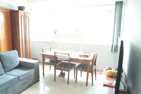 sala de apartamento à venda com 3 quartos, 130m² em Castelo, Belo Horizonte